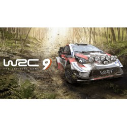 WRC 9 WSZYSTKIE DLC EPIC GAMES PC DOSTĘP DO KONTA WSPÓŁDZIELONEGO - OFFLINE