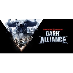 Dungeons & Dragons: Dark Alliance account shared all dlc pc steam offline