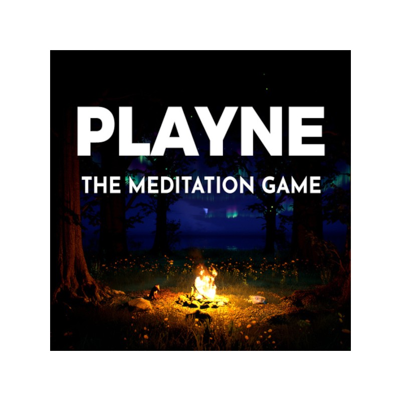 PLAYNE : The Meditation Game KONTO WSPÓŁDZIELONE PC STEAM DOSTĘP DO KONTA WSZYSTKIE DLC