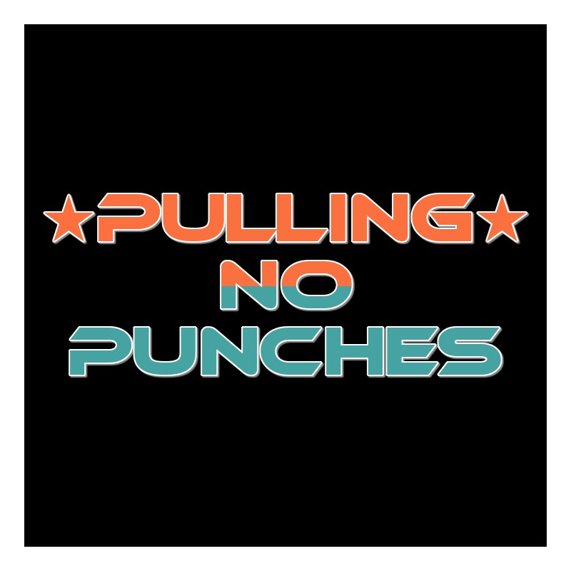 Pulling No Punches ALL DLC STEAM PC ACCESS GAME SHARED ACCOUNT OFFLINE