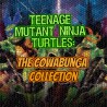 Teenage Mutant Ninja Turtles: The Cowabunga Collection ALL DLC STEAM PC ACCESS GAME SHARED ACCOUNT OFFLINE