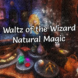 Waltz of the Wizard:...