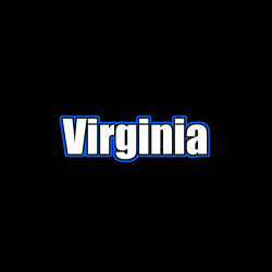 Virginia STEAM PC DOSTĘP DO...