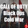 Call of Duty Black Ops Cold War KAMPANIA KONTO WSPÓŁDZIELONE PC STEAM DOSTĘP DO KONTA
