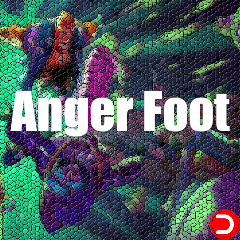 Anger Foot PC OFFLINE ACCOUNT ACCESS SHARED