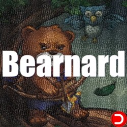 Bearnard PC OFFLINE ACCOUNT ACCESS SHARED