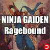 NINJA GAIDEN Ragebound PC OFFLINE ACCOUNT ACCESS SHARED