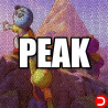 PEAK PC OFFLINE ACCOUNT ACCESS SHARED